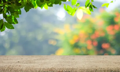 Drupal Solo Theme