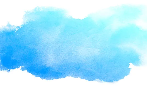 Discover how the Solo Drupal theme integrates ARIA and Section 508 accessibility standards