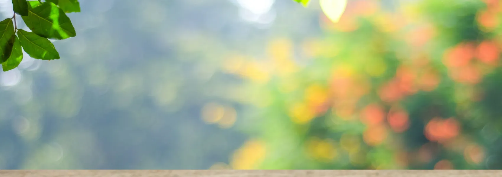Drupal Solo Theme