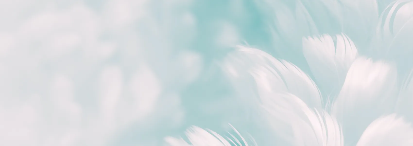 The world of web development thrives on customization and flexibility